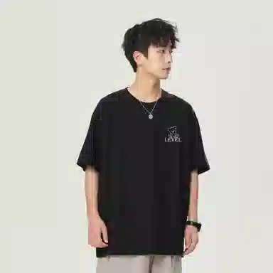 LEVEL T