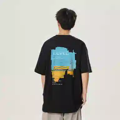 LEVEL T