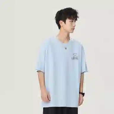 LEVEL T