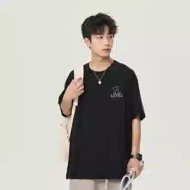 LEVEL T