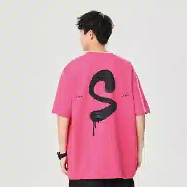 LEVEL T