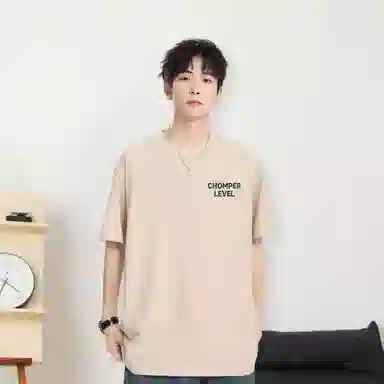 LEVEL T