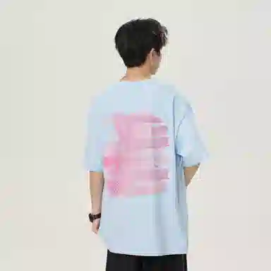 LEVEL T