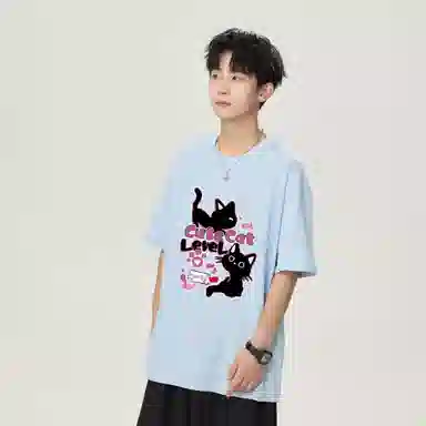 LEVEL T