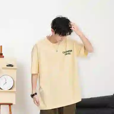 LEVEL T
