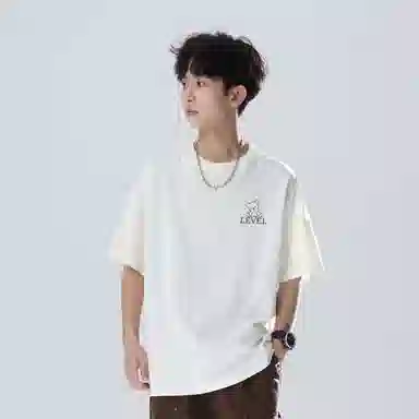 LEVEL T