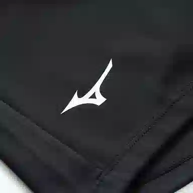 Mizuno LOGO