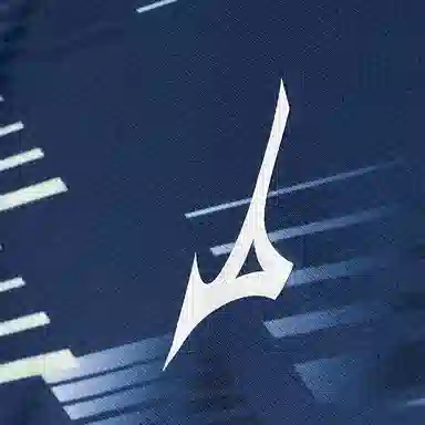 Mizuno T