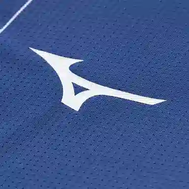 Mizuno T
