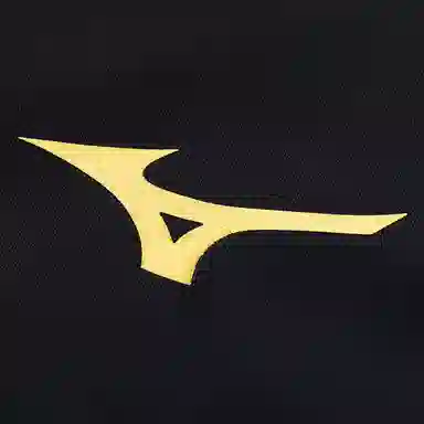 Mizuno