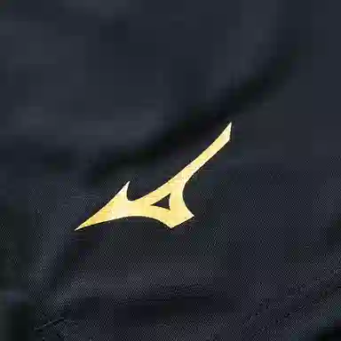 Mizuno