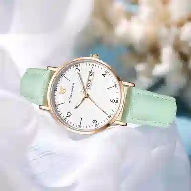 Disney30 MK-11319GN-1