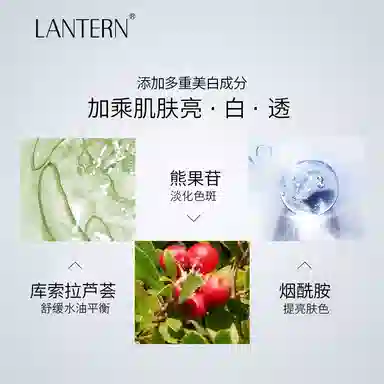 LANTERN 30g*2