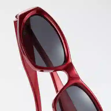 Cyxus Cat Eye Sunglasses
