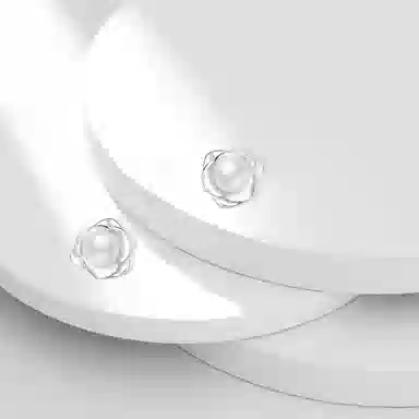 牧言 冷淡风气质简约小众设计高级感 光面立体花朵日常百搭耳饰 合金 白色山茶花耳钉 女款