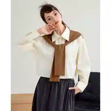 法文箱子 简约通勤长袖衬衫 女款 杏色