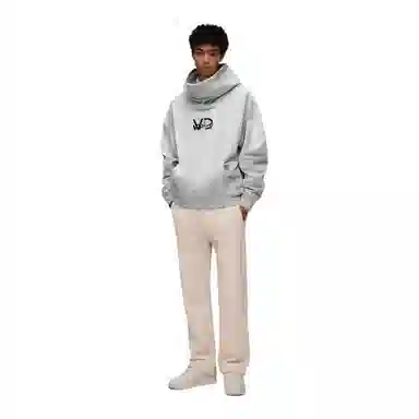 VPDP LOGOcleanfitins