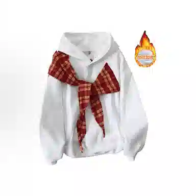 VPDP inslogo
