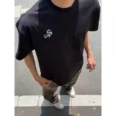 VPDP vintageT