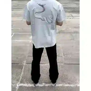 VPDP vintageT