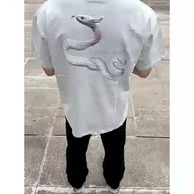 VPDP vintageT