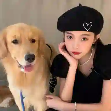 DZP ins