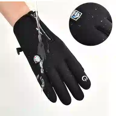 DZP