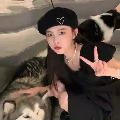 DZP ins