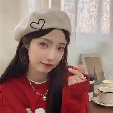 DZP ins