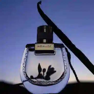 Chloe EDP 30ml50ml75ml