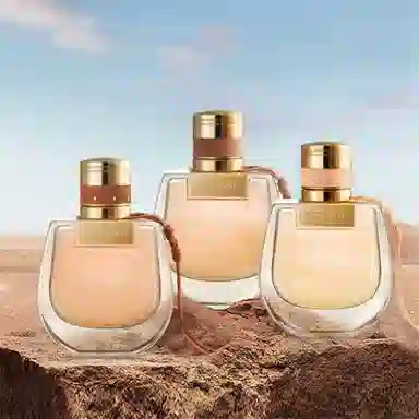 Chloe EDP