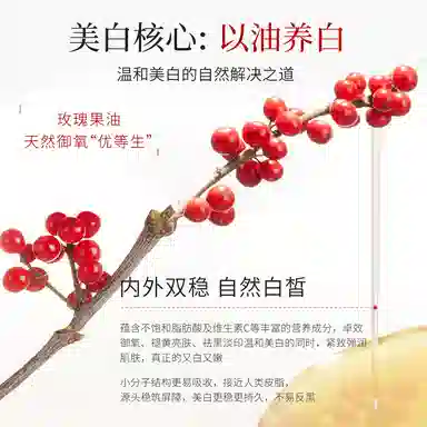 果本 玫瑰果精研护肤套装 美白