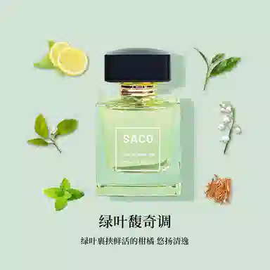 SACO EDP