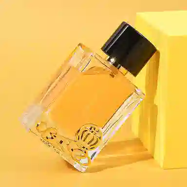SACO EDP
