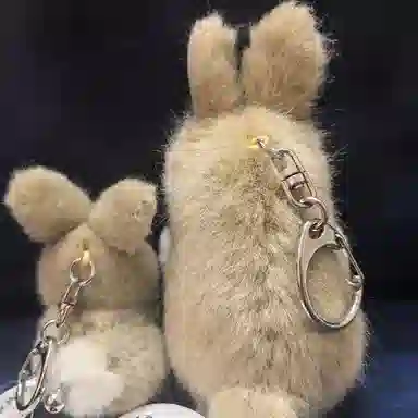 TAKENOKO 8.5cm12cm 2