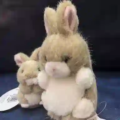 TAKENOKO 8.5cm12cm 2