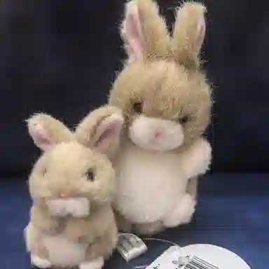 TAKENOKO 8.5cm12cm 2