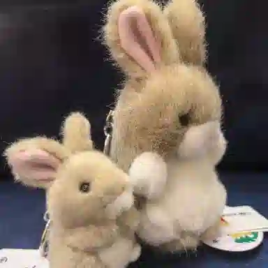 TAKENOKO 8.5cm12cm 2