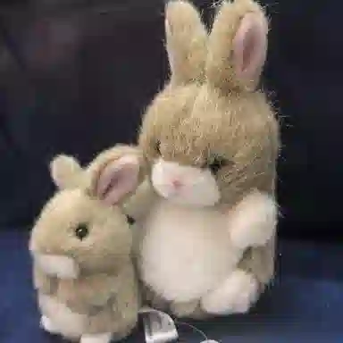 TAKENOKO 8.5cm12cm 2