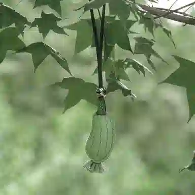 后鸟 【小丝瓜，火气退退退】趣味原创小清新可爱真皮手工皮质包包挂饰吊饰小众个性优雅高级感轻奢 头层羊皮牛皮 挂件 男女同款情侣款