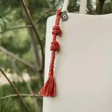 INS