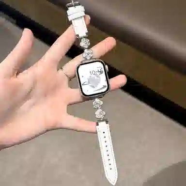 apple watchS11iwatchS1098765SE4