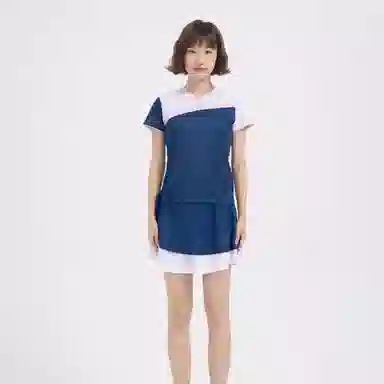Kawasaki Skirt