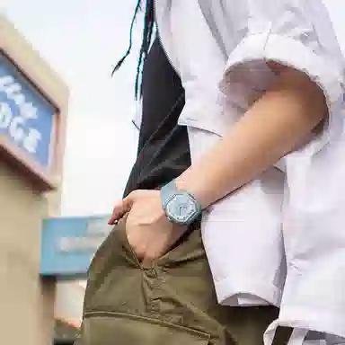 Dickies CL-318