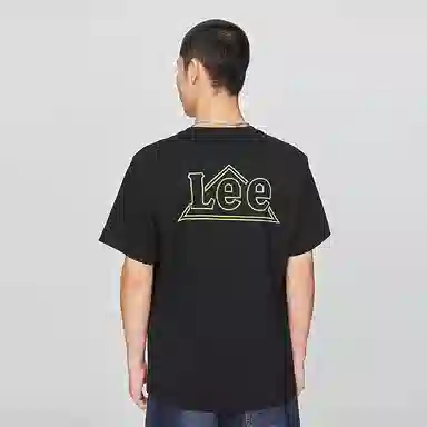 Lee T
