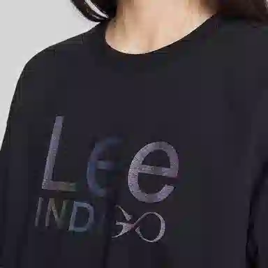 Lee T