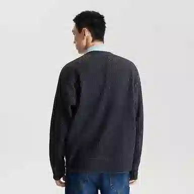 Lee FW25 V