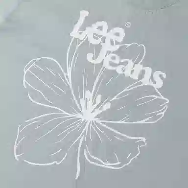 Lee T