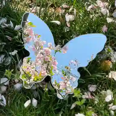 悦语 网红蝴蝶化妆镜月亮影楼户外拍照镜加厚创意摆拍神器