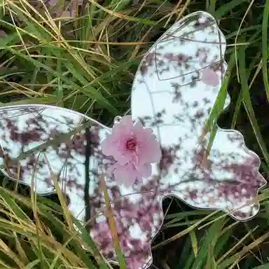 悦语 网红蝴蝶化妆镜月亮影楼户外拍照镜加厚创意摆拍神器